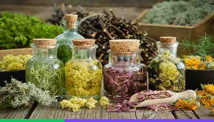 Iranian Medicinal Herbs