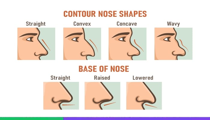 spanish nose shape